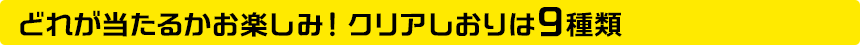 ǂꂪ邩y݁INA9