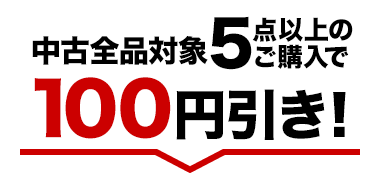 ÑSiΏ5_ȏ̂w100~I
