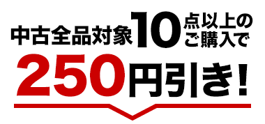 ÑSiΏ10_ȏ̂w250~I