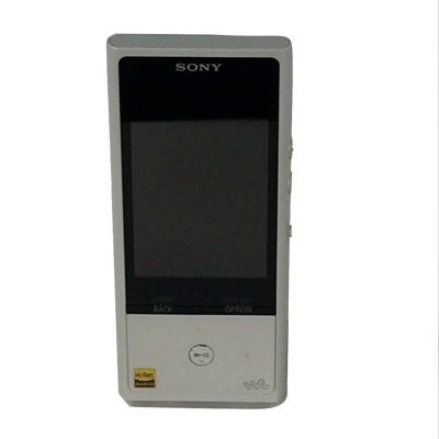 SONY ウォークマン NW-ZX100 128GB
          