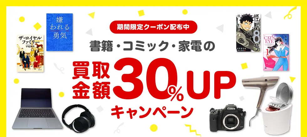 ���ЁE�R�~�b�N�E�Ɠd�̔�����z30���t�o