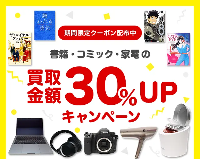 ���ЁE�R�~�b�N�E�Ɠd�̔�����z30���t�o