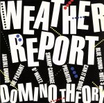 ドミノ・セオリー