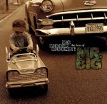 ベストオブMR.BIG