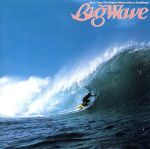 BIG WAVE