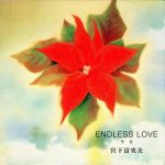 ENDLESS LOVE~聖夜