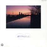 夜のプロムナード