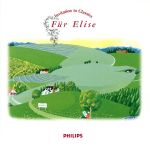 ピアノの森へようこそ