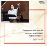 ドヴォルザーク:ジプシーの歌