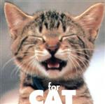 猫の好きな音楽~愛猫のストレス解消のためのミュージック・ビタミン