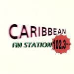 102.3カリビアンFMステーション・フロム・ニューヨーク