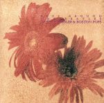 ポップス・アラウンド・ザ・ビートルズ