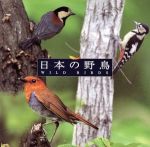 日本の野鳥