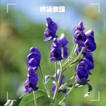 決定版 吟詠歌謡