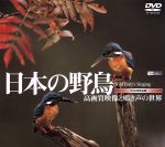 日本の野鳥