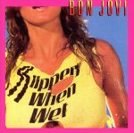 SLIPPERY WHEN WET(ワイルド・イン・ザ・ストリーツ)