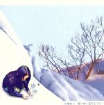 雪に咲く花のように・・・