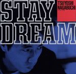 STAY DREAM