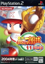 実況パワフルプロ野球11 超決定版