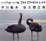 いいひとはいいね。 Ces Chiens Live