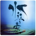 COLEZO!::自然音 水琴窟