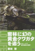 密林に幻の黄金クワガタを追う マレーシア巨大昆虫の世界