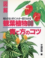 図解 観葉植物80育て方のコツ 枯らさないポイントが一目でわかる-