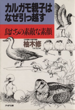 カルガモ親子はなぜ引っ越す 鳥たちの素敵な素顔-(PHP文庫)