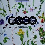 見つけたい楽しみたい野の植物 -(アレコレ知りたいシリーズ4)