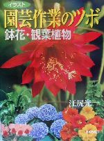 イラスト 園芸作業のツボ 鉢花・観葉植物 鉢花・観葉植物-