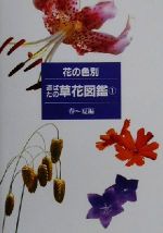 花の色別 道ばたの草花図鑑 -春~夏編(1)