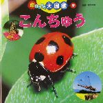 超はっけん大図鑑 -こんちゅう(9)