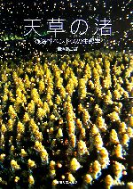 天草の渚 浅海性ベントスの生態学-