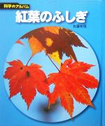 紅葉のふしぎ -(科学のアルバム)