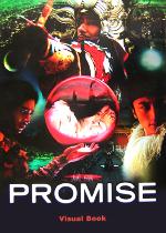 PROMISE Visual Book