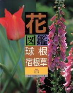 花図鑑 球根+宿根草 -(草土 花図鑑シリーズ8)