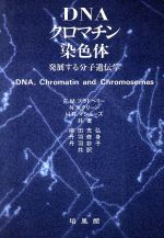 DNA・クロマチン・染色体