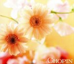 心を満たすクラシック(2)癒しのショパン BEST