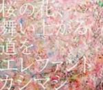 桜の花、舞い上がる道を