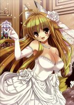 かのこん 第1巻(初回限定版)(3巻収納BOX、CD1枚、予告イラスト付)