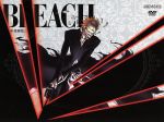 BLEACH 破面<アランカル>・激闘篇2