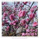 ウェブラジオ 桃のきもち・パーフェクトCD 桃パー2・桃のかほり