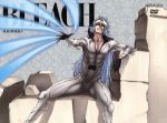 BLEACH 破面<アランカル>・激闘篇4(完全生産限定版)