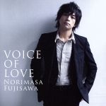 VOICE OF LOVE~愛の力~(DVD付)