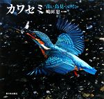 カワセミ 青い鳥見つけた-(日本の野鳥)