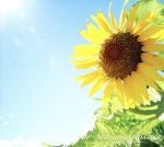 四季を彩るクラシック(4)~すこやかクラシック 盛夏