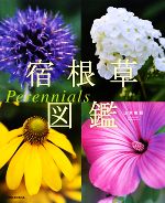 宿根草図鑑 Perennials