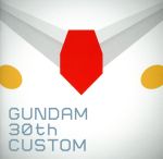 GUNDAM 30th CUSTOM