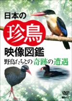 シンフォレストDVD 日本の珍鳥映像図鑑 野鳥たちとの奇跡の遭遇