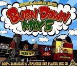 100% JAMAICAN&JAMAICAN DUB PLATES MIX CD BURN DOWN MIX 5